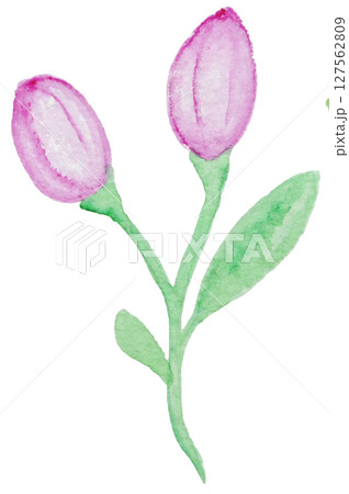 水彩イラスト　夏　トロピカル 127562809