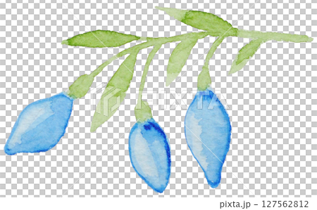Watercolor illustration summer tropical Watercolor illustration summer tropical 127562812