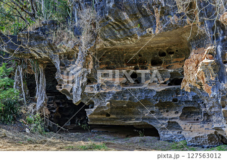 Cave entrance in Lapinha da Serra Cave entrance in Lapinha da Serra 127563012