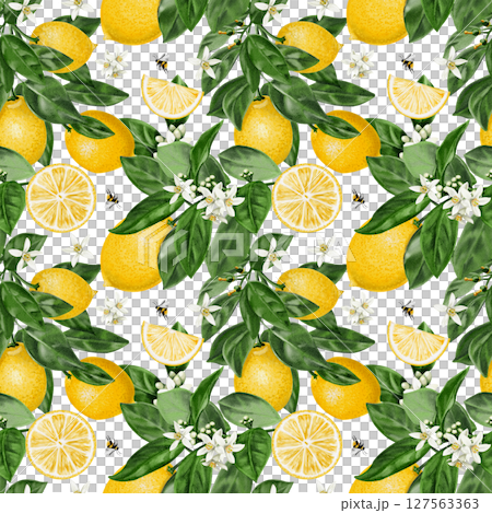 Seamless pattern with lemons. Citrus flowers on a branch with leaves and fruits. Vintage summer pattern for fabric. Small white flowers. Watercolor illustration Hand drawing. For fabric and packaging. Seamless pattern with lemons. Citrus flowers on a branch with leaves and fruits. Vintage summer pattern for fabric. Small white flowers. Watercolor illustration Hand drawing. For fabric and packaging. 127563363
