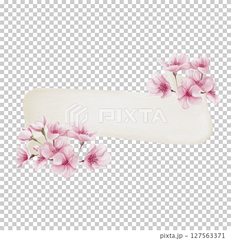 White ribbon with pink flowers. Beige sheet of paper and sakura flowers. Template for inscription. Pink petals, buds and small flowers. Watercolor illustration without background. Hand drawing. White ribbon with pink flowers. Beige sheet of paper and sakura flowers. Template for inscription. Pink petals, buds and small flowers. Watercolor illustration without background. Hand drawing. 127563371