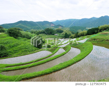 初夏の峰棚田 熊本県上益城郡山都町 初夏の峰棚田 熊本県上益城郡山都町 127563475