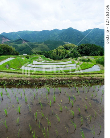 峰棚田の風景 熊本県上益城郡山都町 峰棚田の風景 熊本県上益城郡山都町 127563656