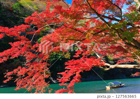 【京都府】晴天の紅葉の嵐山(桂川の嵐峡 保津峡) 【京都府】晴天の紅葉の嵐山(桂川の嵐峡 保津峡) 127563665
