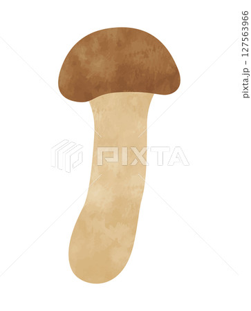手書き風松茸(マツタケ/野菜) 手書き風松茸(マツタケ/野菜) 127563966