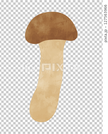 手書き風松茸(マツタケ/野菜) 手書き風松茸(マツタケ/野菜) 127563966