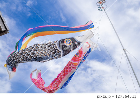 青空に泳ぐ鯉のぼり 127564313