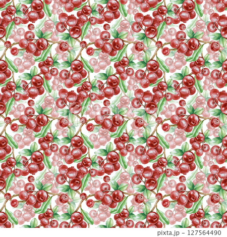 Watercolor seamless pattern with berries and lingonberry leaves, hand-drawn on a white background. Seamless background with red wild berries on branches and green leaves. Botanical illustration. For Watercolor seamless pattern with berries and lingonberry leaves, hand-drawn on a white background. Seamless background with red wild berries on branches and green leaves. Botanical illustration. For 127564490
