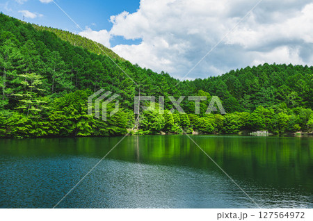 新緑のいずみ湖　下諏訪町 127564972