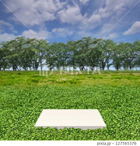 高原に並ぶ緑の木立と青空、展示台がある空想の風景 高原に並ぶ緑の木立と青空、展示台がある空想の風景 127565376