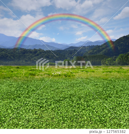 山並みへと続く緑と青空、虹がかかる高原の空想の風景 山並みへと続く緑と青空、虹がかかる高原の空想の風景 127565382