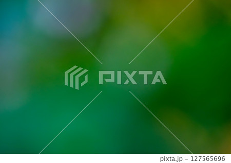 抽象的な緑のぼかし背景 抽象的な緑のぼかし背景 127565696