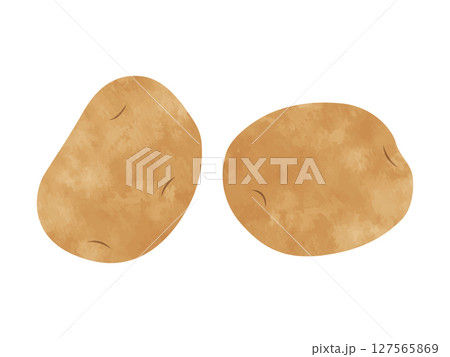 手書き風ジャガイモ（ポテト/野菜） 127565869