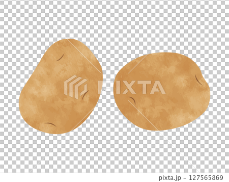 手書き風ジャガイモ（ポテト/野菜） 127565869