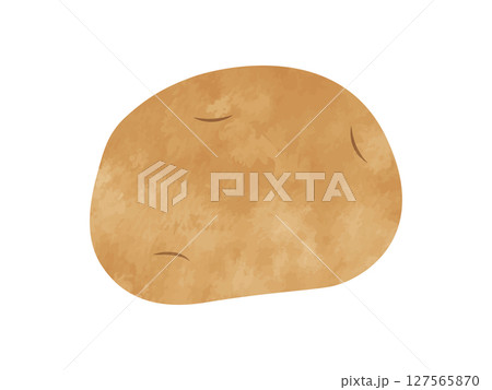 手書き風ジャガイモ（ポテト/野菜） 127565870