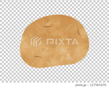 手書き風ジャガイモ（ポテト/野菜） 127565870