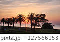 ヤシの木のある海岸 127566153