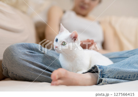 自宅で寛ぐ白い猫と飼い主の女性 127566415