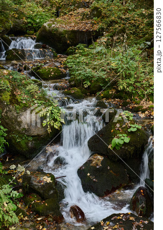 Pretty small waterfall in the forest 127566830