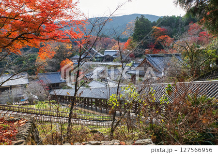Top view of corridor with autumn leaf of Hasedera temple, Nara 127566956