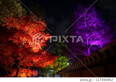 Colorful light up of autumn leaf by roof at Kodaiji temple at night, Kyoto Colorful light up of autumn leaf by roof at Kodaiji temple at night, Kyoto 127566962