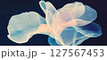 Display of an X-ray representation of a complex iris flower revealing its delicate structure. 127567453