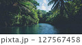 Relaxation by a calm river in a tropical paradise filled with vibrant vegetation and clear skies. 127567458