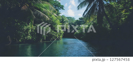 Relaxation by a calm river in a tropical paradise filled with vibrant vegetation and clear skies. 127567458
