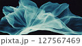 X-ray illustrates the delicate structure and ethereal beauty of flower petals and veins. 127567469