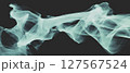 This artwork features abstract shapes and X-ray-like textures with an organic flow. 127567524
