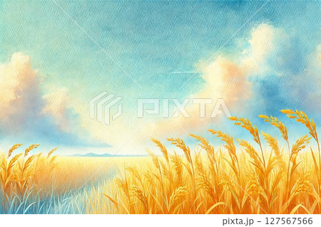 稲穂・田んぼ 127567566