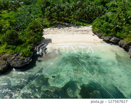 Sandy beach with coconut palm trees and green forest. Carabao Island. Romblon, Philippines. Sandy beach with coconut palm trees and green forest. Carabao Island. Romblon, Philippines. 127567627