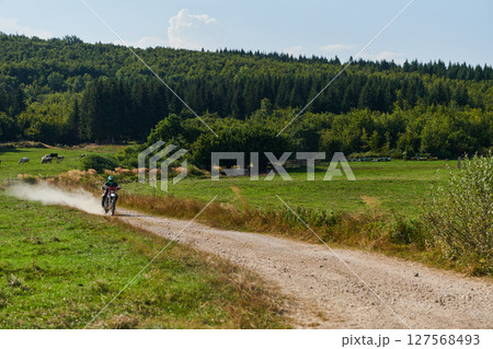 A professional motocross rider exhilaratingly riding a treacherous off-road forest trail on their motorcycle. A professional motocross rider exhilaratingly riding a treacherous off-road forest trail on their motorcycle. 127568493