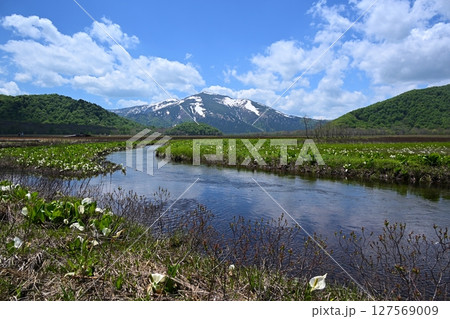 下ノ大堀からの至仏山と水芭蕉　群馬 127569009