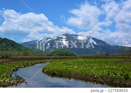 下ノ大堀からの至仏山と水芭蕉　群馬 127569010