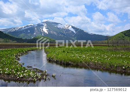 下ノ大堀からの至仏山と水芭蕉　群馬 127569012