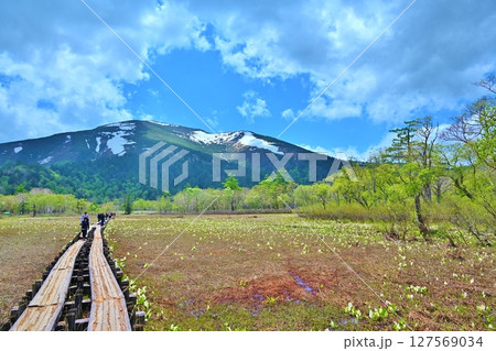 尾瀬の木道と至仏山　群馬 127569034