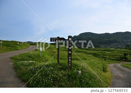 晴天の姨捨の棚田 長野 晴天の姨捨の棚田 長野 127569553