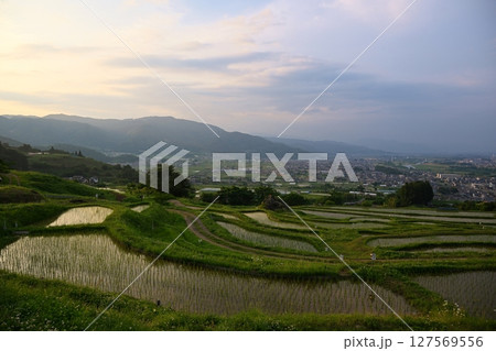 夕暮れの姨捨の棚田 長野 夕暮れの姨捨の棚田 長野 127569556