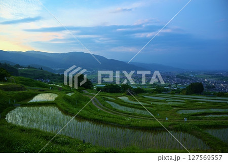 夕暮れの姨捨の棚田　長野 127569557