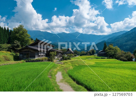 日本の美しい里山の景色（田舎・旅行・背景） 127569703