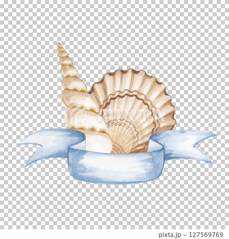 Hand-painted watercolor composition with seashells and a blue ribbon. The illustration is isolated on a white background. A marine template for postcards, invitations, or memorable vacation photos. 127569769