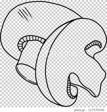 Mushroom Mushroom 127570340