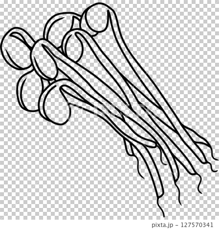 Bean sprouts 127570341