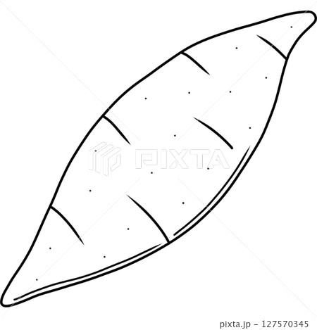 Purple sweet potato 127570345