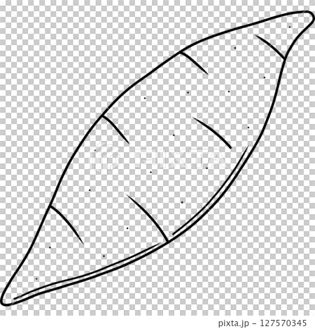 Purple sweet potato 127570345