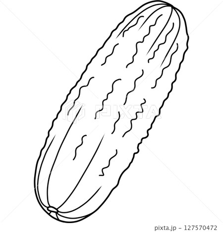 Cucumber Cucumber 127570472