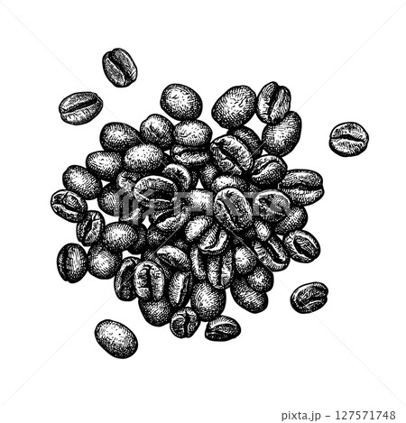 A handful of coffee beans ink sketch. 127571748