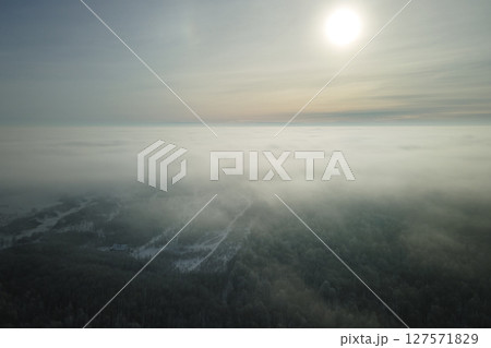 Aerial view of snow covered white forest with frozen trees in cold winter. Dense wild woodland in wintertime 127571829