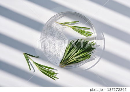 Rosemary serum in a petri dish on a background with streaks of shadows. Rosemary serum in a petri dish on a background with streaks of shadows. 127572265